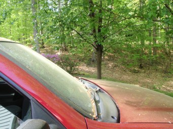 Note the pretty yellow haze...