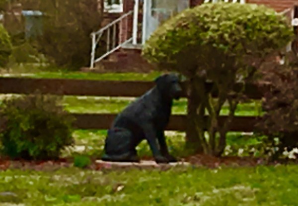 FullSizeRender[5816]